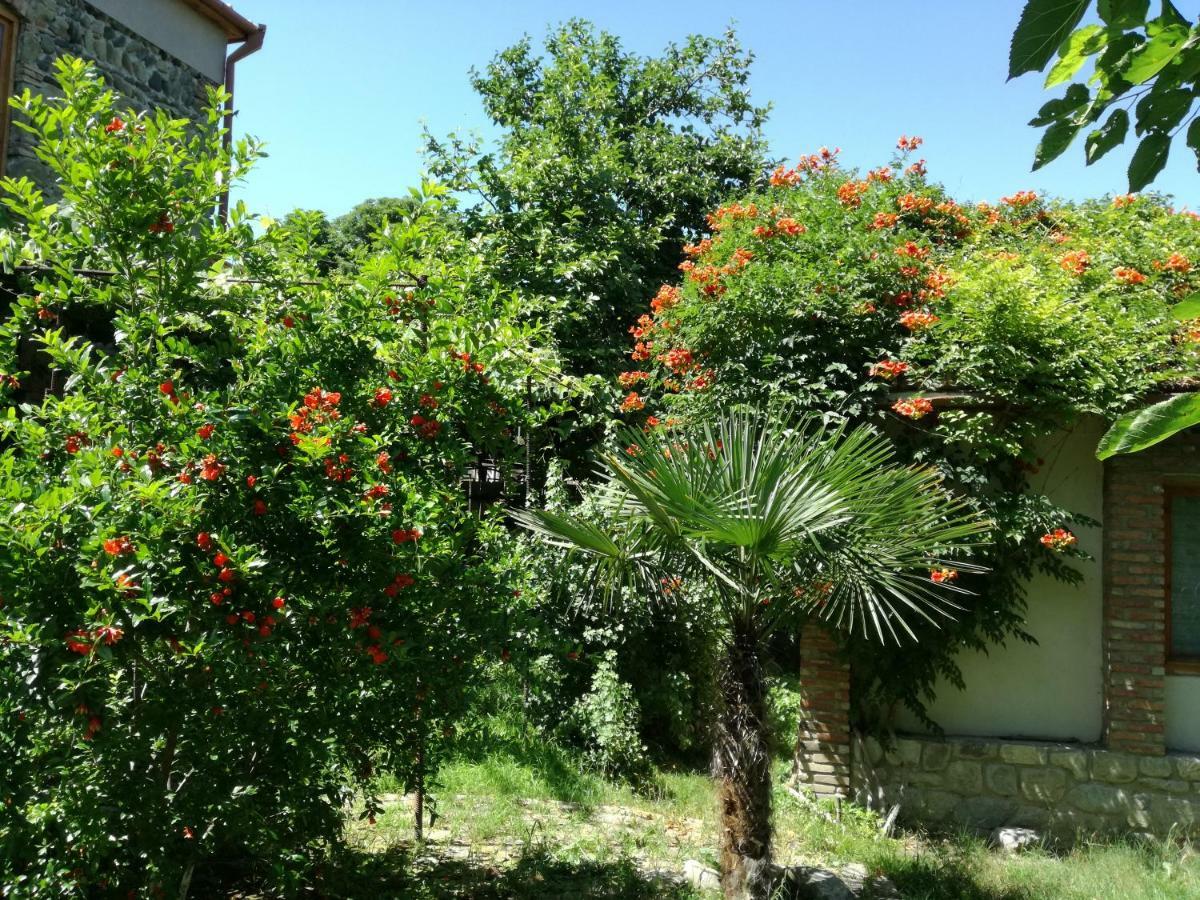 Old House Apartment With Garden Area Mtsʼkhetʼa Exteriör bild